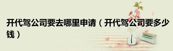 开代驾公司要去哪里申请（开代驾公司要多少钱）