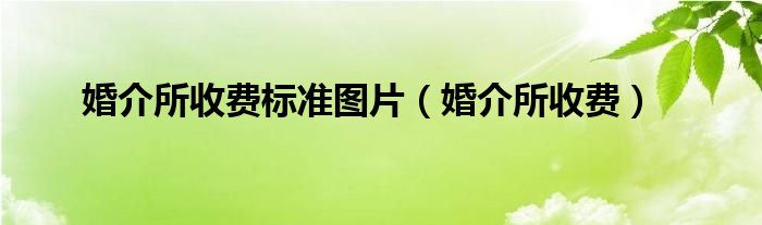 婚介所收费标准图片（婚介所收费）