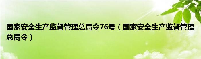 国家安全生产监督管理总局令76号（国家安全生产监督管理总局令）