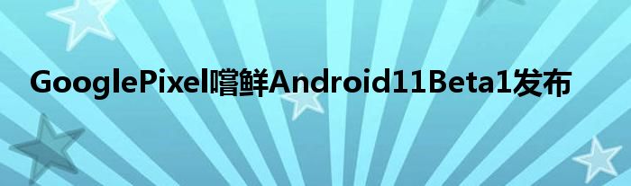 GooglePixel嚐鲜Android11Beta1发布