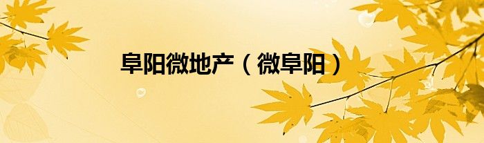 阜阳微地产（微阜阳）