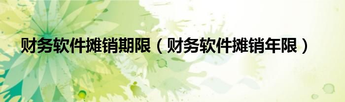 财务软件摊销期限（财务软件摊销年限）
