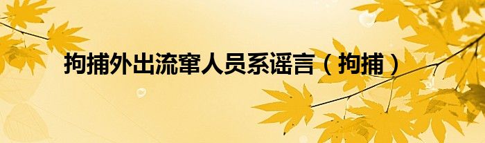 拘捕外出流窜人员系谣言（拘捕）