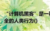 “计算机黑客”是一种专门破坏计算机网络安全的人类行为()