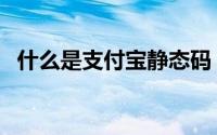什么是支付宝静态码（什么是支付宝支付）