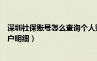 深圳社保账号怎么查询个人账户（深圳社保怎么查询个人账户明细）