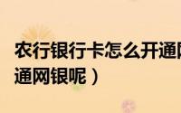 农行银行卡怎么开通网银（农行银行卡怎么开通网银呢）