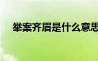 举案齐眉是什么意思（举案齐眉的意思）