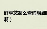 好享贷怎么查询明细啊（好享贷怎么查询明细啊）