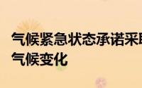 气候紧急状态承诺采取行动的一个五年计划的气候变化