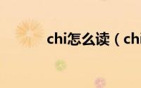 chi怎么读（chi拼音怎么拼读）