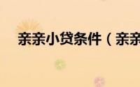 亲亲小贷条件（亲亲小贷审核打电话吗）