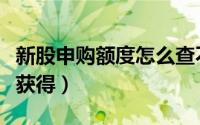 新股申购额度怎么查不到（新股申购额度怎么获得）