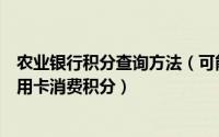 农业银行积分查询方法（可能通过哪些渠道查询农业银行信用卡消费积分）