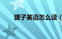骡子英语怎么读（骡子英语如何读）