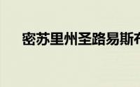 密苏里州圣路易斯布伦特伍德万怡酒店
