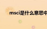 msci是什么意思中文（msci是什么）
