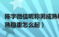 陈字微信昵称男成熟稳重（陈字微信昵称男成熟稳重怎么起）
