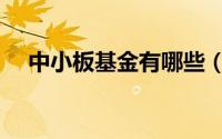 中小板基金有哪些（中小板基金有哪些）