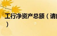 工行净资产总额（请问工行资产净值是余额吗）