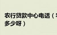 农行贷款中心电话（农业银行信用贷款电话是多少呀）