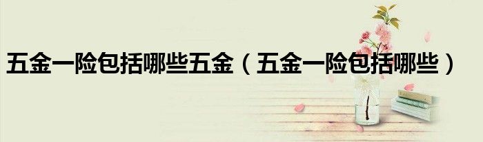 五金一险包括哪些五金（五金一险包括哪些）