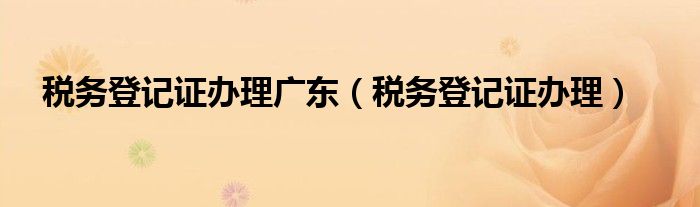 税务登记证办理广东（税务登记证办理）