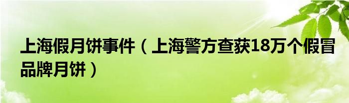上海假月饼事件（上海警方查获18万个假冒品牌月饼）