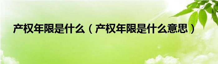 产权年限是什么（产权年限是什么意思）