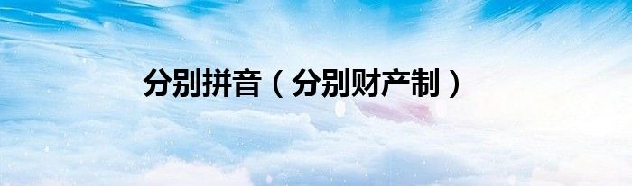 分别拼音（分别财产制）