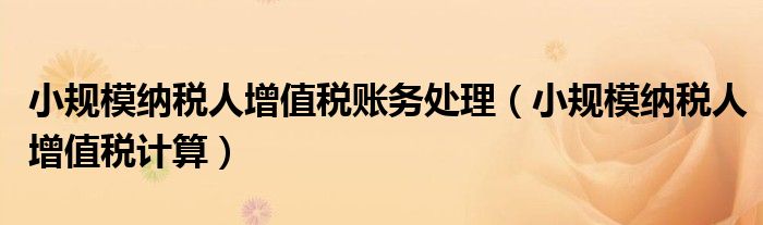 小规模纳税人增值税账务处理（小规模纳税人增值税计算）
