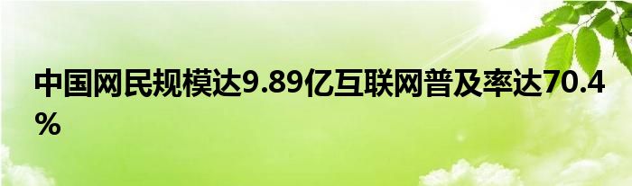 中国网民规模达9.89亿互联网普及率达70.4%