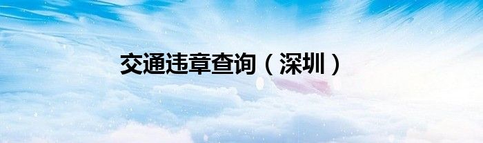  交通违章查询（深圳）