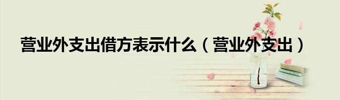 营业外支出借方表示什么（营业外支出）