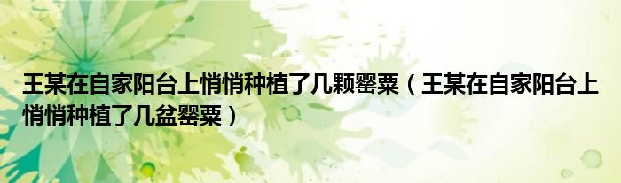 王某在自家阳台上悄悄种植了几颗罂粟（王某在自家阳台上悄悄种植了几盆罂粟）