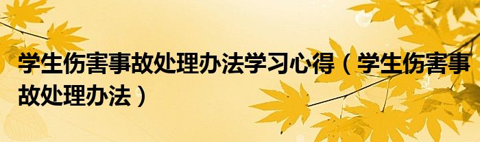 学生伤害事故处理办法学习心得（学生伤害事故处理办法）