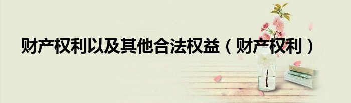 财产权利以及其他合法权益（财产权利）