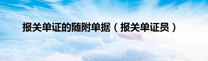 报关单证的随附单据（报关单证员）