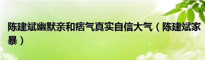 陈建斌幽默亲和痞气真实自信大气（陈建斌家暴）