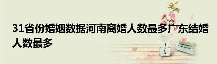 31省份婚姻数据河南离婚人数最多广东结婚人数最多