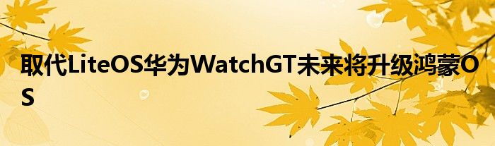 取代LiteOS华为WatchGT未来将升级鸿蒙OS