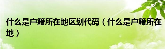 什么是户籍所在地区划代码（什么是户籍所在地）