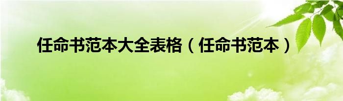 任命书范本大全表格（任命书范本）