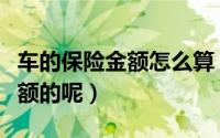 车的保险金额怎么算（车保险是怎么算保费保额的呢）