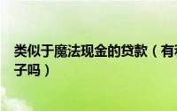 类似于魔法现金的贷款（有和闪电和魔法现金一样贷款的口子吗）