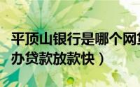 平顶山银行是哪个网贷放款机构（平顶山哪里办贷款放款快）