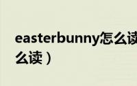 easterbunny怎么读（英语easterbunny怎么读）