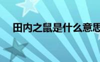 田内之鼠是什么意思（田内之鼠的意思）