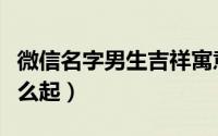 微信名字男生吉祥寓意（微信名字男生吉祥怎么起）