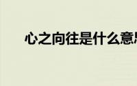 心之向往是什么意思（心之向往解释）